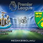Prediksi Pertandingan Newcastle United vs Norwich City 1 Februari 2020 - Premier League