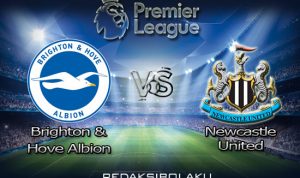 Prediksi Pertandingan Brighton & Hove Albion vs Newcastle United 21 Juli 2020 - Premier League