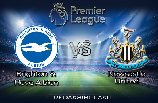 Prediksi Pertandingan Brighton & Hove Albion vs Newcastle United 21 Juli 2020 - Premier League
